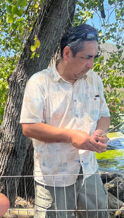 Room wanted in Hollywood beach Main Photo