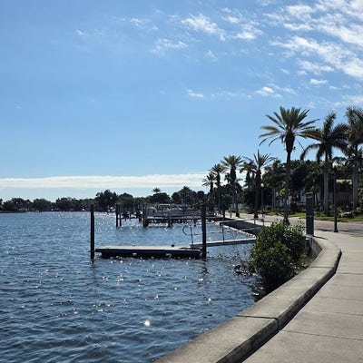 Room wanted in St. Petersburg, FL Main Photo