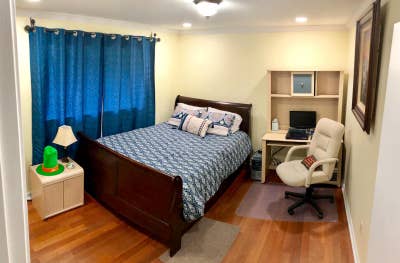 Male Student/Young Prof Wanted for Room Near Usf Main Photo