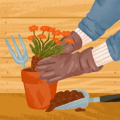 Room wanted in Lake Worth, FL Main Photo