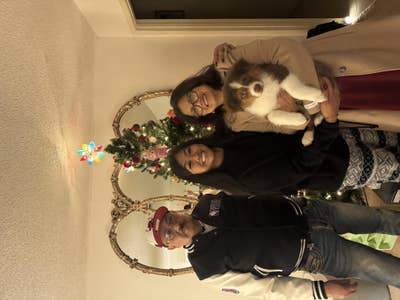 Room wanted in San Francisco Bay Area Main Photo