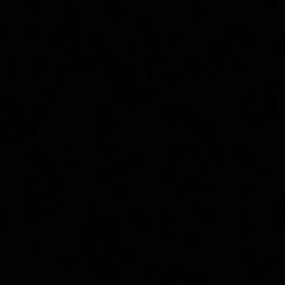 Room wanted in Tampa Main Photo