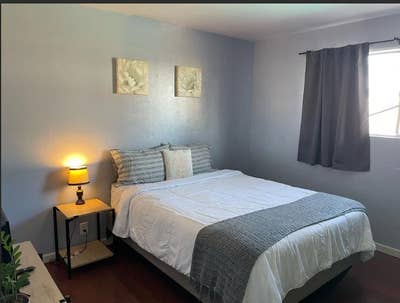 Colony of the Green Home Main Photo