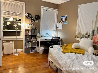 Cozy Boston Room for the Summer  Main Photo