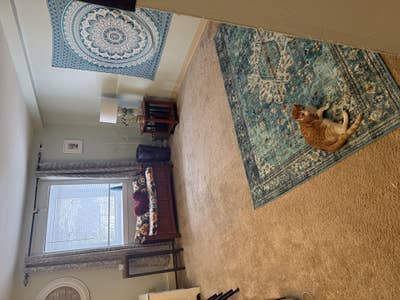 Private room for rent shared, living in Derry  Main Photo