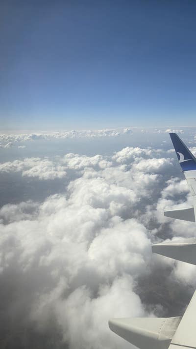 Room wanted in San Francisco Bay Area Main Photo