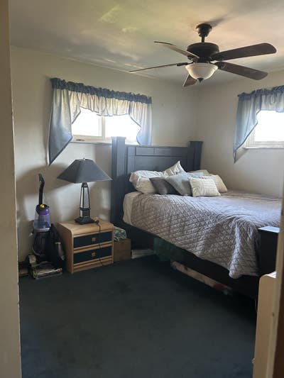 Three large gentle dogs live here Main Photo