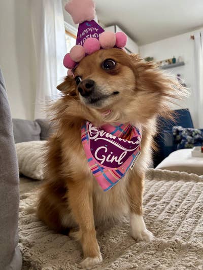 Room wanted in Montgomery Orange County ny Main Photo