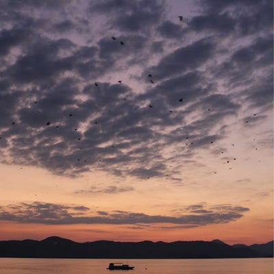 Room wanted in NYC Main Photo