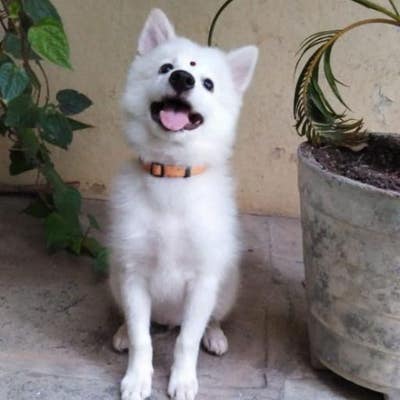 Room wanted in Long Island City, Queens, NY Main Photo