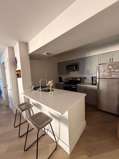 Roommate for Shared Luxury Building Apt Main Photo