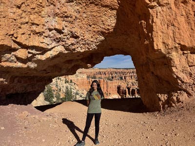 Student looking for a room in Altadena Main Photo