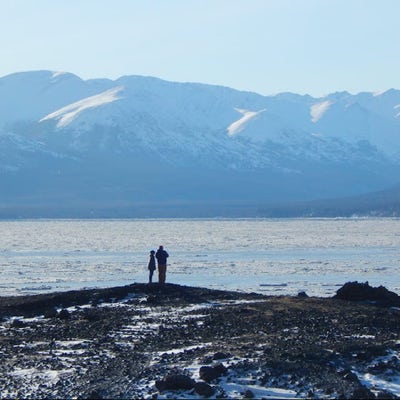 Room wanted in NYC Main Photo