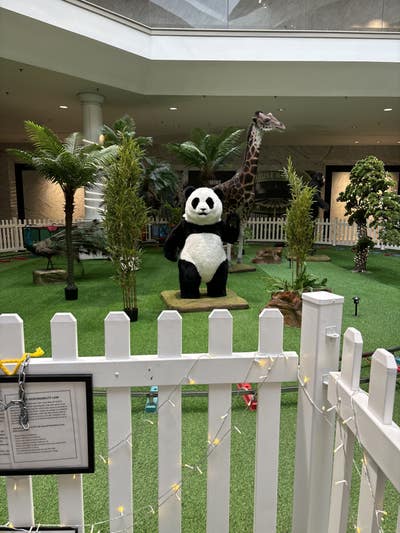 Room wanted in NYC Main Photo