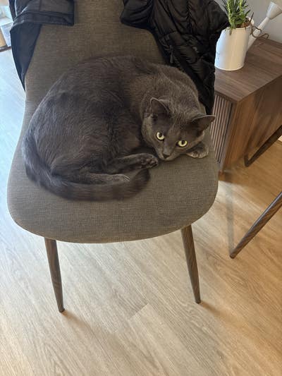 Room wanted in New Jersey Main Photo