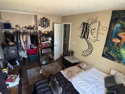 Room for Rent Rialto Main Photo