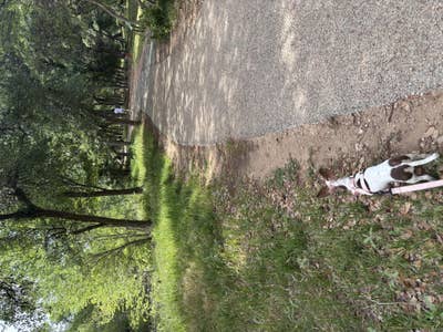 Room wanted in New York Main Photo