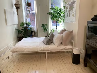 Sunny Garden Apartment Williamsburg Main Photo