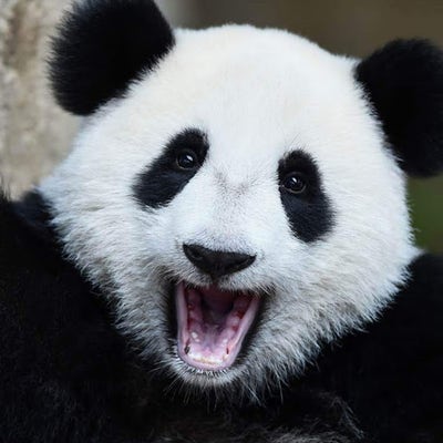 Room wanted in hamptons, NY Main Photo