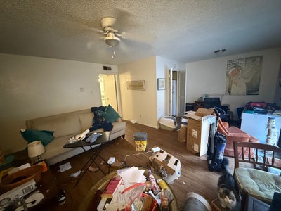 Queer Comic Nerd seeking roommate Main Photo