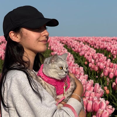 Room wanted in Euless, TX Main Photo