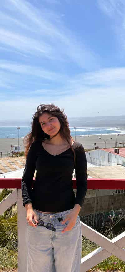 Room wanted in Brooklyn/Queens NY Main Photo