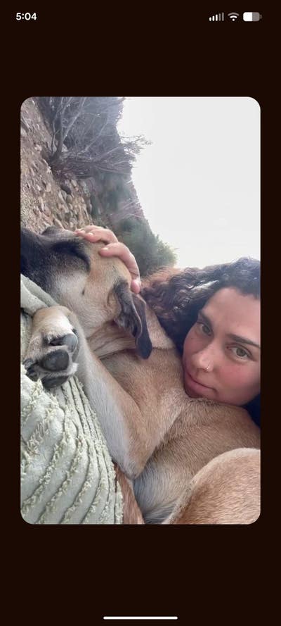 My wife and I with our dogs are looking. Main Photo