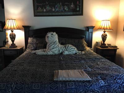 1 bd 1 bath for rent in Hollywood Hills Main Photo