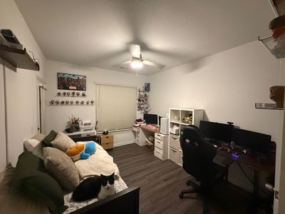 Need a roommate Asap Main Photo