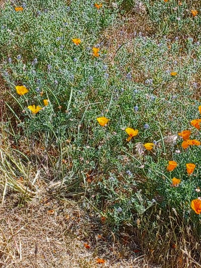 52 years old Main Photo