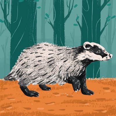 31 year old student looking for a room in LA Main Photo