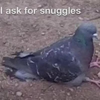 Room wanted in Everett, MA Main Photo