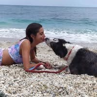 Room wanted in Purchase, NY Main Photo