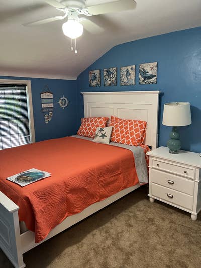 Looking for a single, female housemate  Main Photo