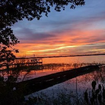 Room wanted in Spring, TX Main Photo