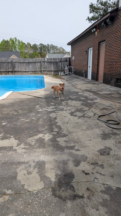 Inground pool  Main Photo