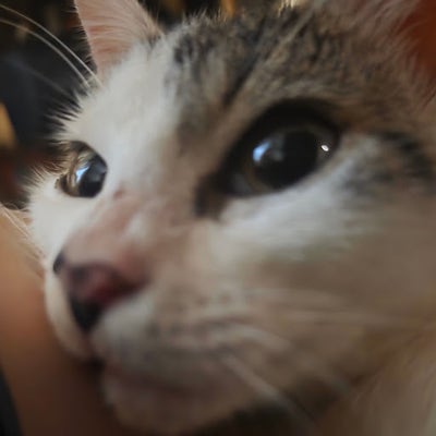 Student looking for a room in Denver ASAP Main Photo