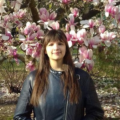 Room wanted in NYC Main Photo