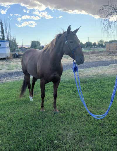 Room wanted in Everett, MA Main Photo