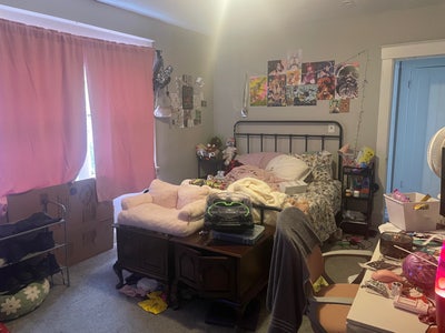 LGBTQ+ Friendly (19-27) Main Photo