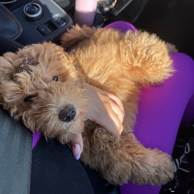 26 year old woman looking for North Miami room Main Photo