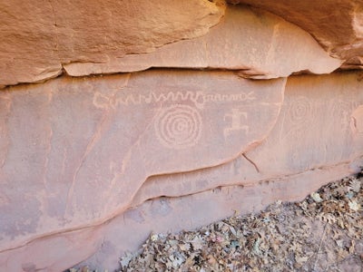 Room wanted in Philadelphia Main Photo