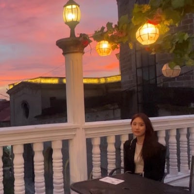 Room wanted in NYC queens Main Photo