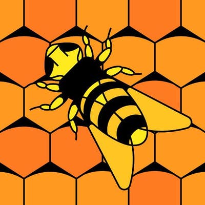 Room wanted in Hoboken, NJ Main Photo