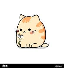 Room wanted in New York Main Photo