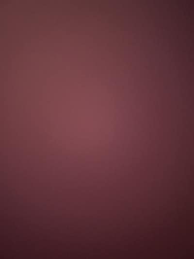 23 year old female student needs Westside room Main Photo