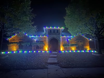 Looking for a Golden Girl  Main Photo