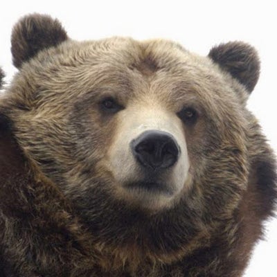 Room wanted in Issaquah, WA Main Photo