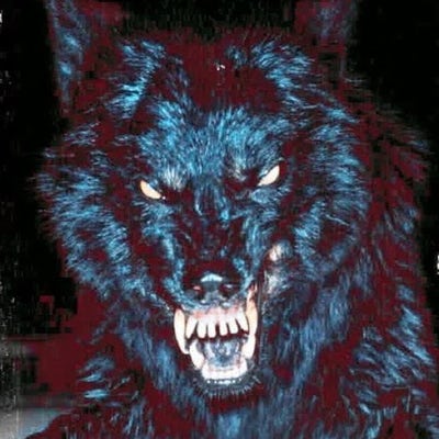 Room wanted in Purchase, NY Main Photo