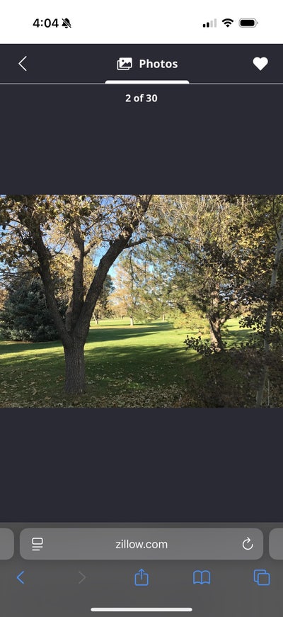Seeking roommate  Main Photo